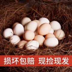 贵州长顺新鲜土鸡蛋30枚装 早餐食材农家草鸡蛋柴鸡蛋粉壳鸡蛋